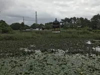 本牧市民公園の写真・動画_image_313258