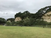 本牧市民公園の写真・動画_image_313268