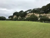 本牧市民公園の写真・動画_image_313269