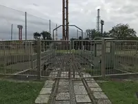 本牧市民公園の写真・動画_image_313271