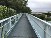 本牧市民公園の写真・動画_image_313273