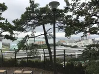 本牧市民公園の写真・動画_image_313278