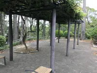 本牧市民公園の写真・動画_image_313279