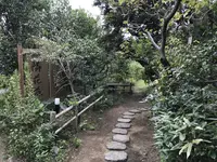 本牧市民公園の写真・動画_image_313308