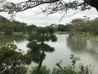 本牧市民公園の写真・動画_image_313311