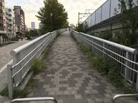 孝道山本仏殿（宗教法人）の写真・動画_image_313374