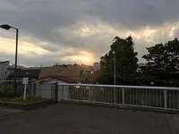 孝道山本仏殿（宗教法人）の写真・動画_image_313376