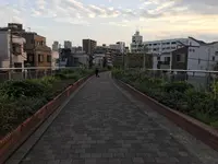 孝道山本仏殿（宗教法人）の写真・動画_image_313377