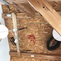 熊野（漁協） 水産物直売所の写真・動画_image_313555