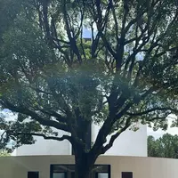 ベルナール・ビュフェ美術館の写真・動画_image_313567