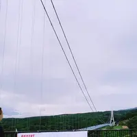 三島スカイウォークの写真・動画_image_313569