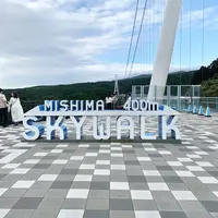 三島スカイウォークの写真・動画_image_313571