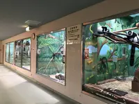 わんぱーくこうちの写真・動画_image_313715