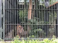 わんぱーくこうちの写真・動画_image_313716