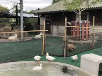 わんぱーくこうちの写真・動画_image_313717