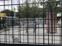 わんぱーくこうちの写真・動画_image_313723