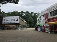桂浜の写真・動画_image_313727