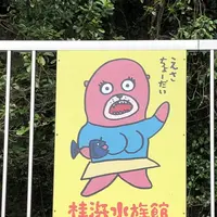 桂浜水族館の写真・動画_image_313728