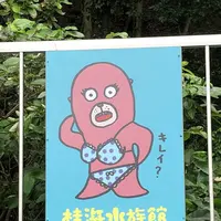 桂浜水族館の写真・動画_image_313730