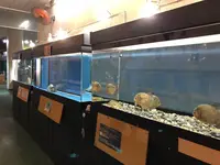 桂浜水族館の写真・動画_image_313732