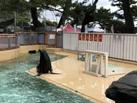桂浜水族館の写真・動画_image_313733