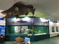 桂浜水族館の写真・動画_image_313734