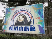 桂浜水族館の写真・動画_image_313738