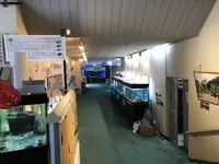 桂浜水族館の写真・動画_image_313741