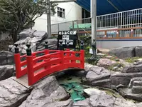 桂浜水族館の写真・動画_image_313743