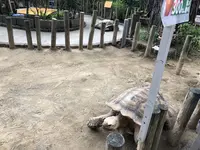 桂浜水族館の写真・動画_image_313745