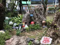 桂浜水族館の写真・動画_image_313747