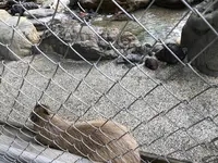 桂浜水族館の写真・動画_image_313750