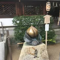 清明神社の写真・動画_image_313838