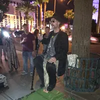 Las Vegas Strip（ストリップ）の写真・動画_image_313872