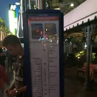 Las Vegas Strip（ストリップ）の写真・動画_image_313876