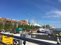 Chicago Trolley & Double Decker Coの写真・動画_image_313928