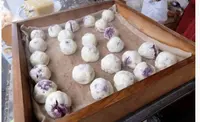 菓子屋横丁の写真・動画_image_313940