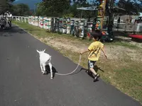 中津川市ふれあい牧場の写真・動画_image_314284