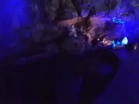 珠洲岬（聖域の岬）の写真・動画_image_314322
