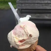 マルガージェラート 能登本店の写真・動画_image_314353