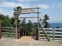 白米千枚田の写真・動画_image_314357