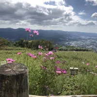 鷲ヶ峰コスモスパークの写真・動画_image_314972