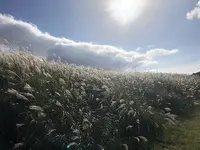 生石高原の写真・動画_image_314974