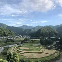 あらぎ島の写真・動画_image_314977