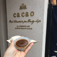 cacao カカオ 鎌倉の写真・動画_image_315105