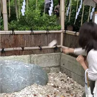葛原岡神社の写真・動画_image_315132