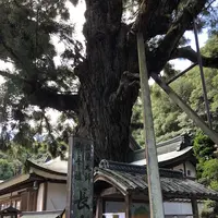 第２番札所極楽寺の写真・動画_image_315325