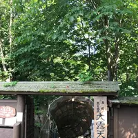 名湯　蔵王温泉大露天風呂の写真・動画_image_315832