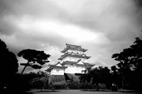 小田原城の写真・動画_image_315936