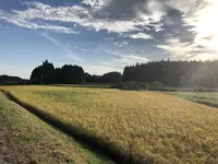 那須塩原駅の写真・動画_image_315982